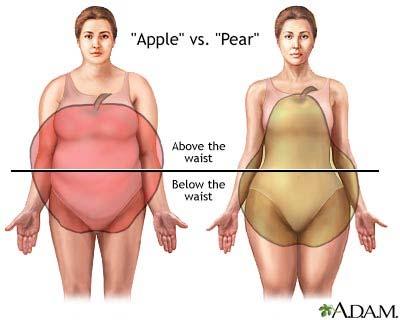 the field. 1) Waist Circumference and Waist-to-hip ratio Your waist circumference indicates how much fat is collected around your midsection.