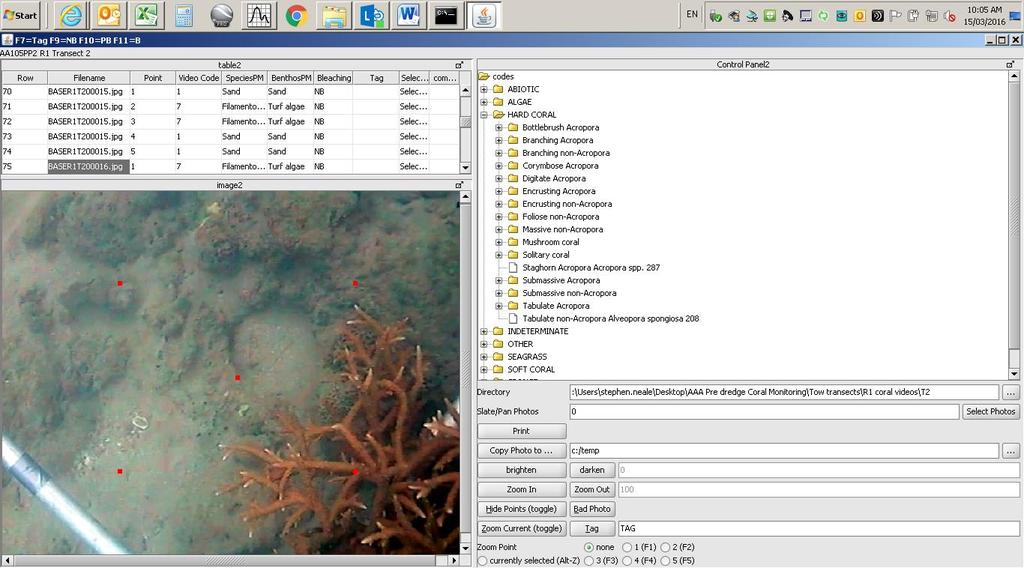 Figure 2-2 Screen shot of the AIMS Reefmon data entry screen showing five fixed points superimposed onto a captured still from site R1 2.2.2 Data QAQC For each survey trip, forty images were chosen across all sites which represent of range of benthic groups encountered during the analysis.
