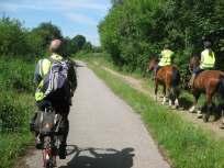 Introduction Sustrans is the country s leading sustainable transport charity and our vision is a world in which people choose to travel in ways that benefit their health and the environment.