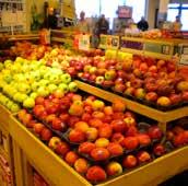 Prices Received by Growers for All Fresh Apples Cents Per Pound Cents Per Pound 50 40 30 20 Source: USDA NASS Average Retail Prices for Red Delicious Apples 155 145 135 125 115 105 95 2014 Crop
