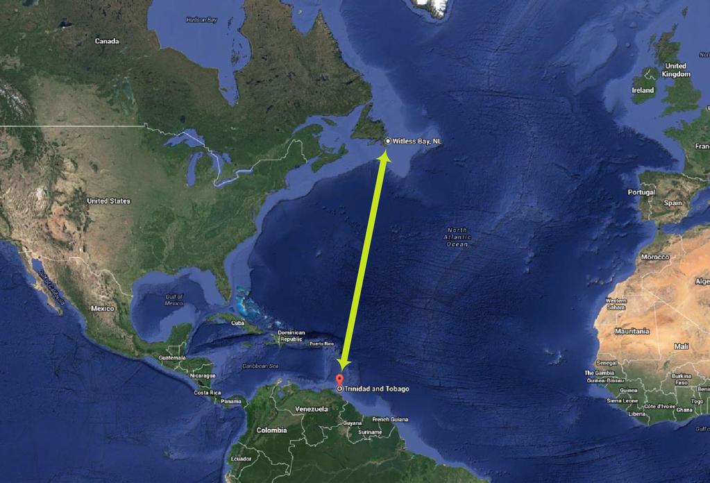 4,100 km Trinidad to Witless Bay, Newfoundland and Labrador. come with us? Trinidad is a very, very long way.