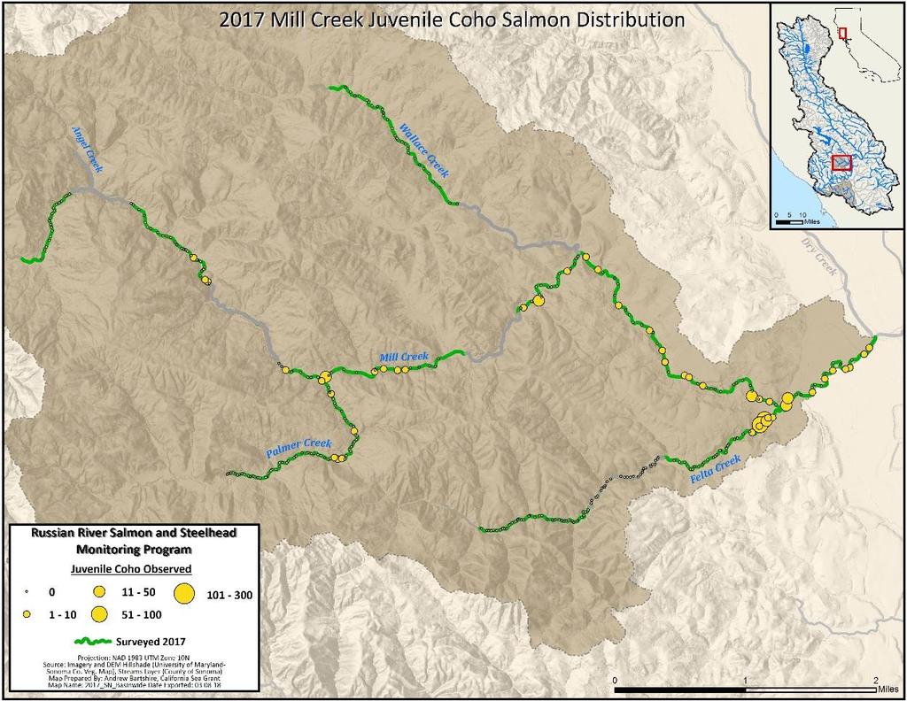 yoy observed in Green Valley Creek, 2017.