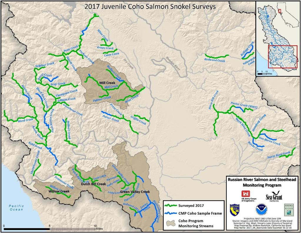 2 Juvenile Presence and Distribution Summer snorkeling surveys were conducted in Russian River tributaries to document the relative abundance and spatial distribution of juvenile coho salmon and