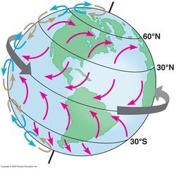 This is called the Coriolis Effect. >If Earth didn't rotate, we'd only experience wind blowing from the poles to the equator. 3.