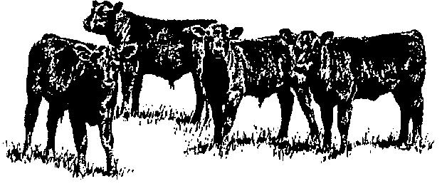 OCEANA COUNTY 4-H MARKET LIVESTOCK EDUCATIONAL NOTEBOOK/RECORD STEER PROJECT - 2018 AGES 15-19 As a member of the 4-H Market Livestock Steer Project, you are required to submit your records as part
