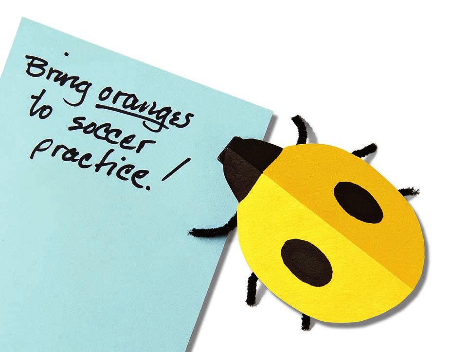 Let these pretty pinch-bug magnets hold important messages and show off your best school papers on your refrigerator!