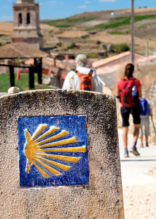 ITINERARY A WALK ON THE CAMINO DE SANTIAGO YOUR TRIP WILL INCLUDE: Return flights from Dublin to Santiago de Compostela All internal transfers including luggage transport during the walk