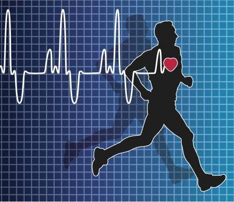VO ሶ 2 max Alternatives Heart Rates Maximal Heart