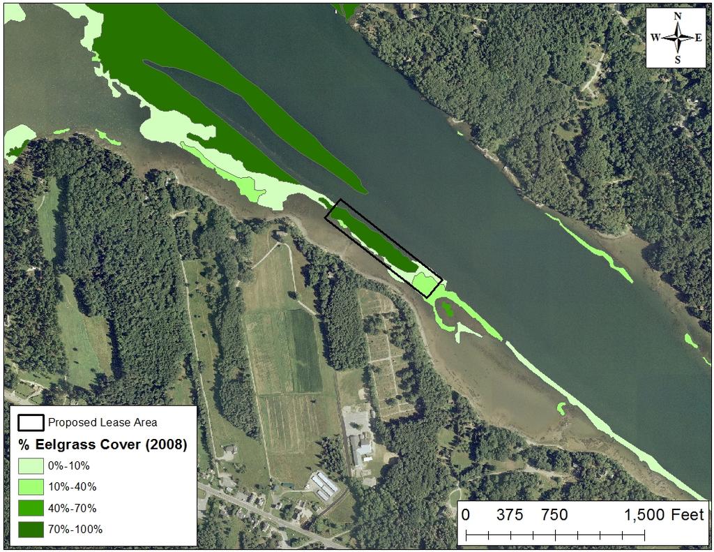 cover (Figure 4). No eelgrass was observed during the Department s underwater site assessment on October 02, 2017. Figure 4: Historical records of eelgrass (Z.