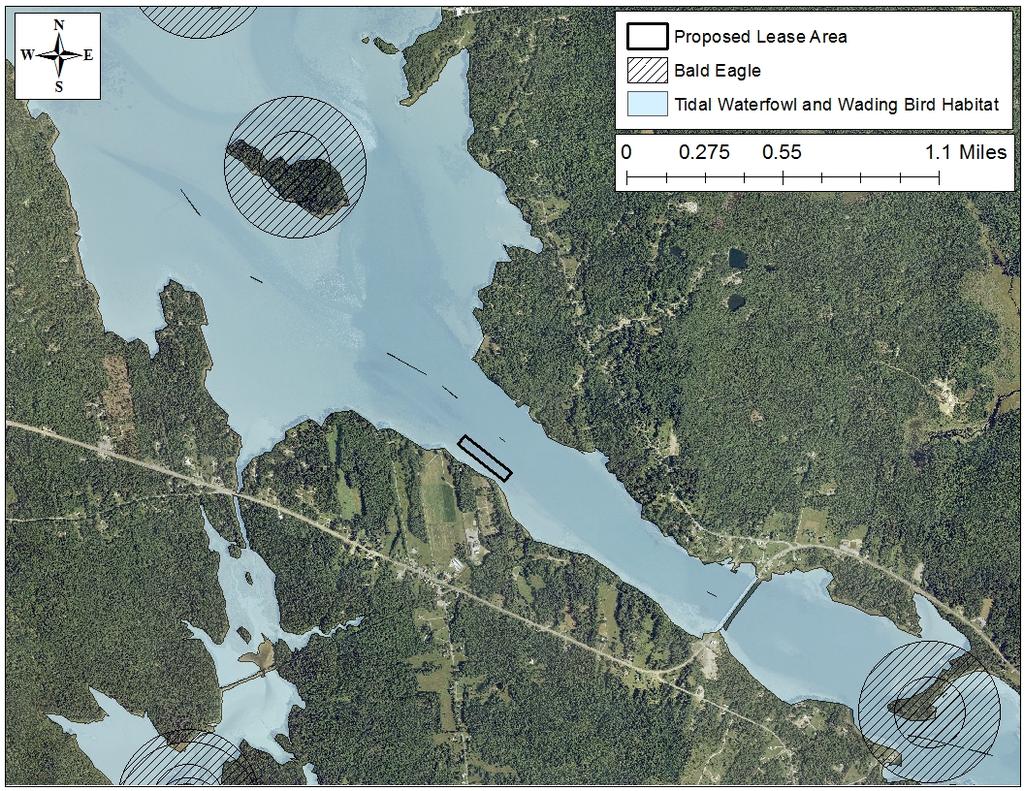 In an email dated September 20, 2017 John Perry, an Environmental Review Coordinator for MDIFW, stated: The proposed site is within a high-value Significant Wildlife Habitat mapped as a reefmudflat