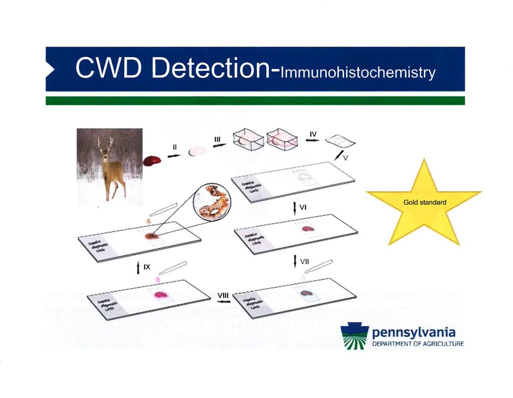 CWD Detection-1mmunohistochemistry II --- l.