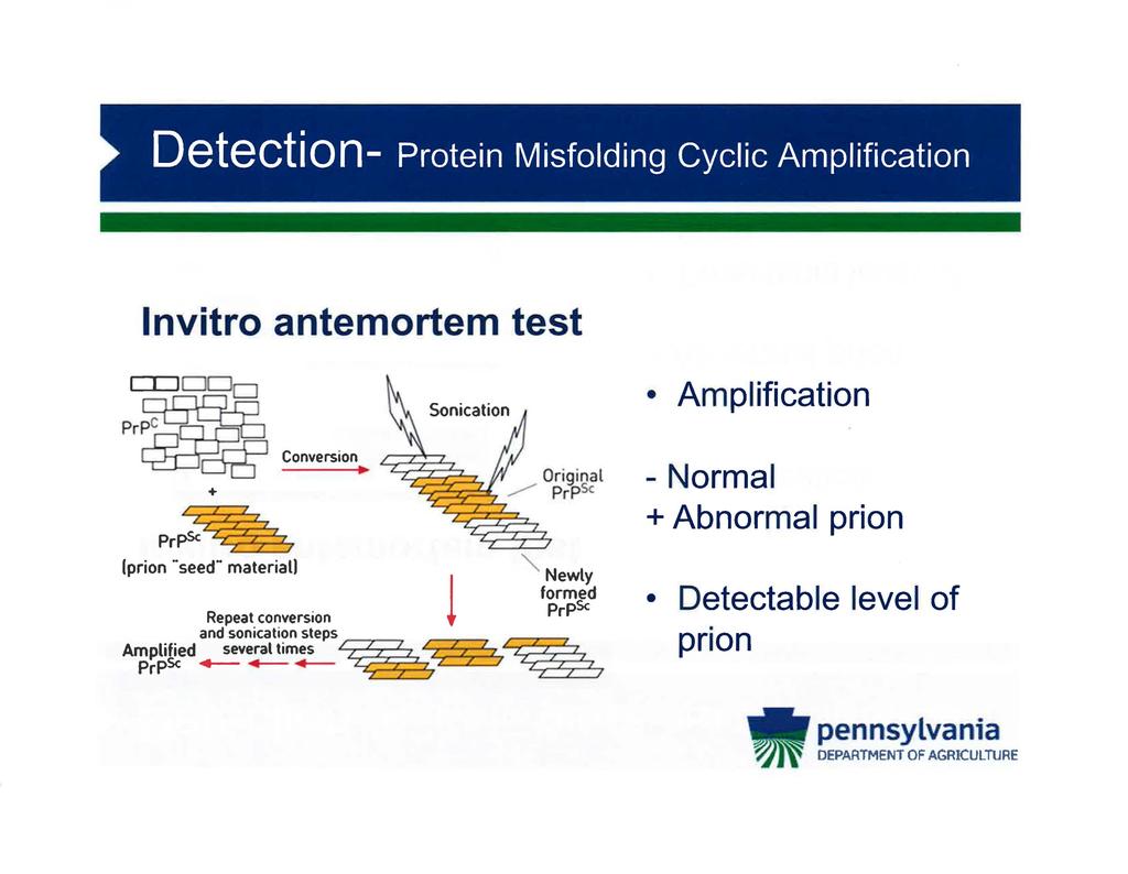 Detection- Protein Misfolding Cyclic Amplification lnvitro antemortem test I I IDDo PrPc~g ~ c ~ Conversion + Sonication Amplification - Normal + Abnormal prion (prion.. seed" material)!