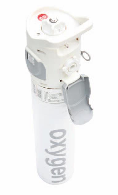 Portable Oxygen Cylinders For patients to use to enable them to remain independent and help keep them mobile.