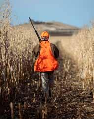 They may be mostly interested in big game hunting (10.8 million), but more than a third of them hunt migratory and upland birds.