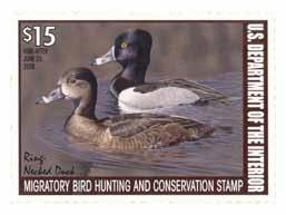 Since 1934, hunters have bought Federal Duck Stamps to hunt waterfowl, to the tune of more than $750 million generated to date that has protected over 6 million acres of wetland habitat an area the