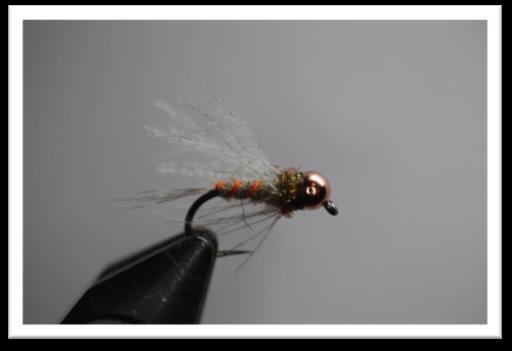 Fly Tying Group Wednesday May 16 We will meet on the Wednesday after our Mayclub meeting at Garibaldi s Family Mexican Restaurant in West Salem April 18 from 6:00-8:00 p.m. Fly of the Month The Soft Hackle Carrot By Kent Toomb Page 7 I learned about this fly from Devin Olsen s Blog on the Tactical Fly Fisher.