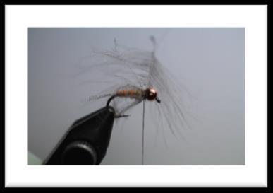 Take a very small amount of dubbing and build a small bump to help force the fibers of the cdc to stand out. Now hackle the fly using a cdc feather.
