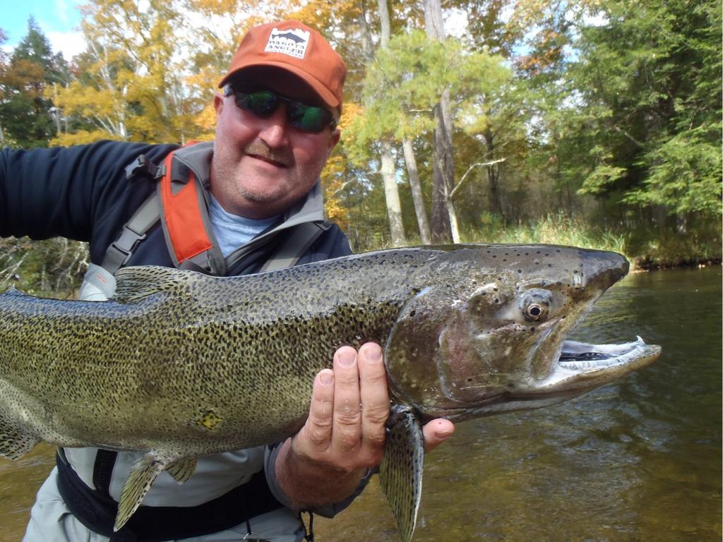 Salmon/Steelhead Outing - October 15 The always popular Salmon/Steelhead Outing will be October 15, 2016. We ll be meeting at the Thorn Apple Landing on the Muskegon River.