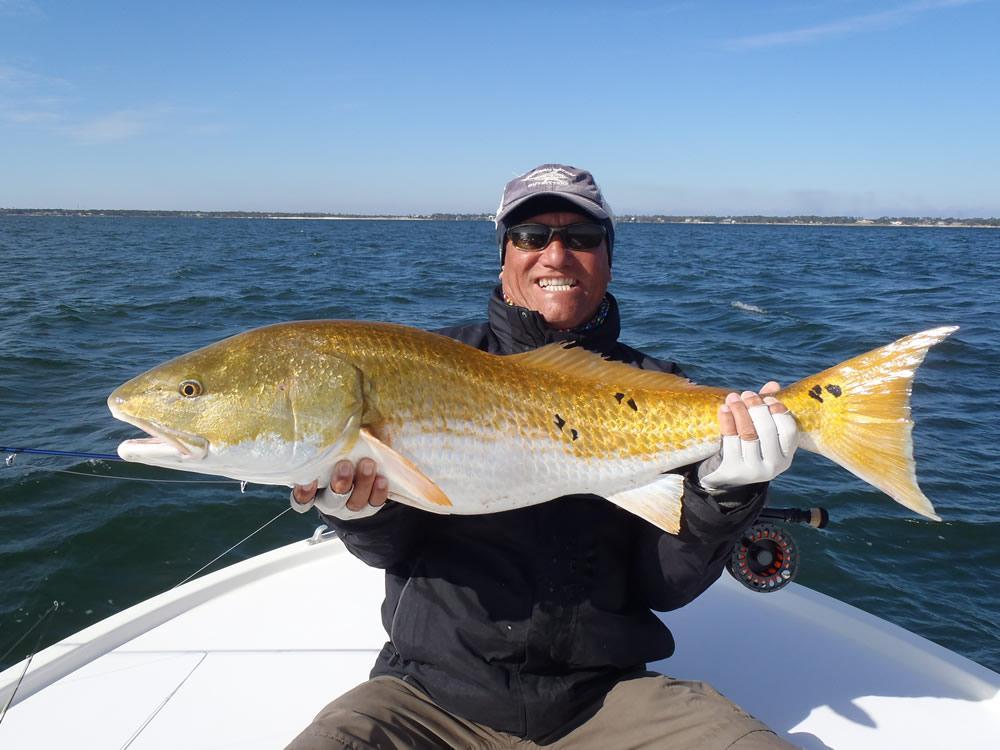 When I dropped my clients off at PegLegs late yesterday afternoon I ran into another guide who found three schools of bull redfish on the surface earlier in the day a half mile S of Deer Point.