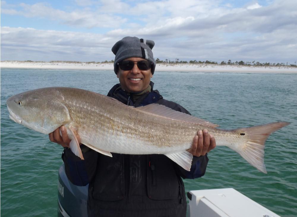 Yesterday we landed a 27 pound redfish and today a 24 pound drum...unfortunately on spinning tackle. Here's a shot of local retina specialist Sunil Gupta with a nice redfish landed earlier today.
