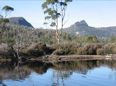 beaches. Over 20% of Tasmania is included in the Tasmanian Wilderness World Heritage Area.