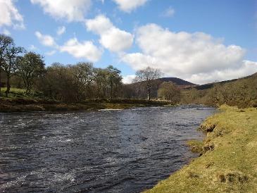 Gillies Eye View Braelangwell, River Carron Braelangwell s season got underway on the 9 th of March with two Salmon, the best weighing 16lb. Two more salmon were lost.