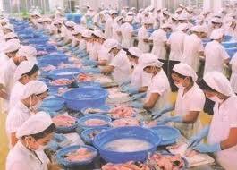 Shrimp products made up 52 % of the total volume of aquatic products exported.