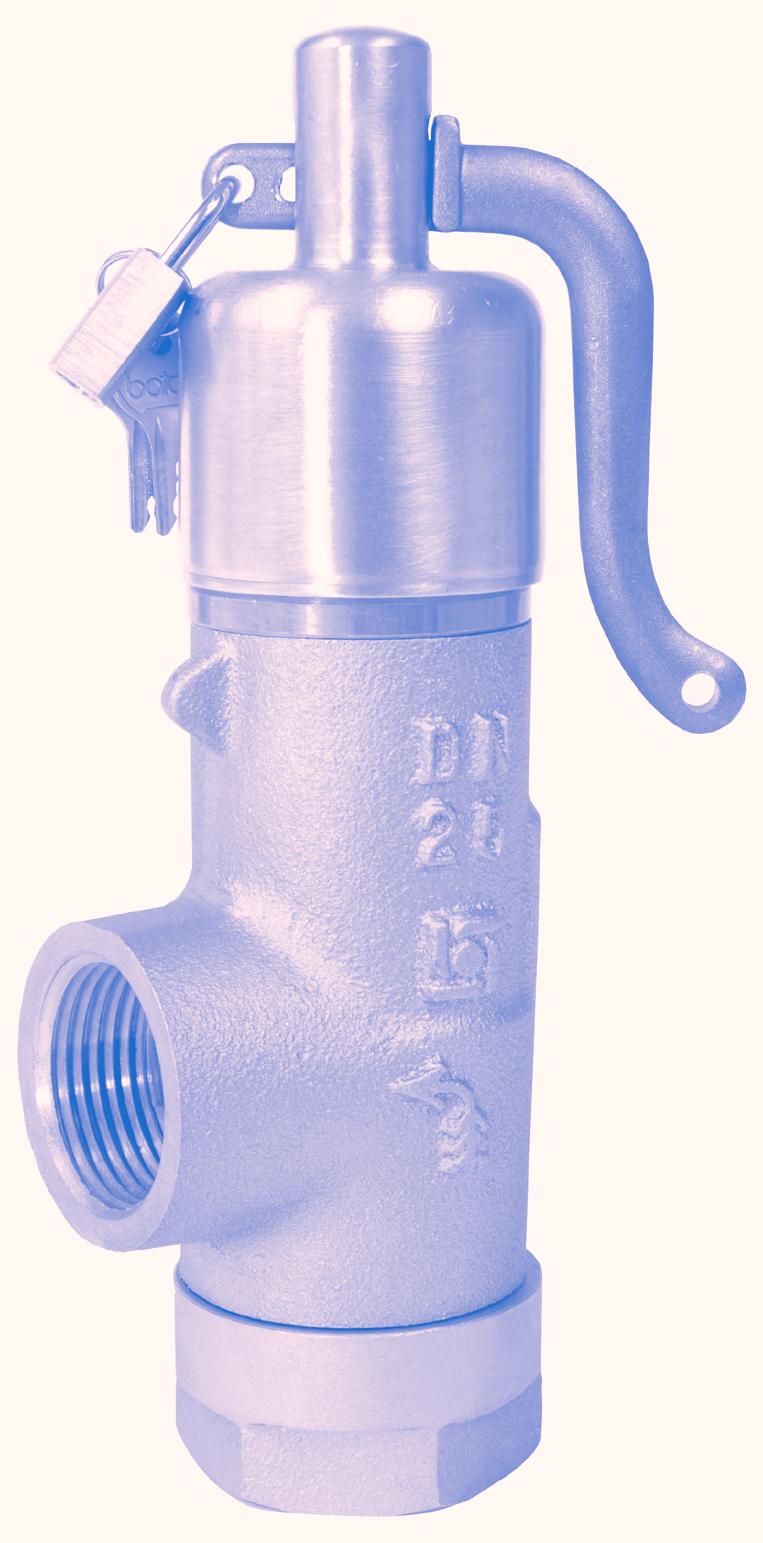 707 Safety Relief Valve DESIGN The Bailey 707 Safety Relief Valve encompasses a top guided design, combining an unobstructed seat bore with high lift capability.