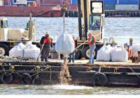 Oyster Restoration Research Project (ORRP) Partnership led by Baykeeper, Hudson River Foundation, the U.S.