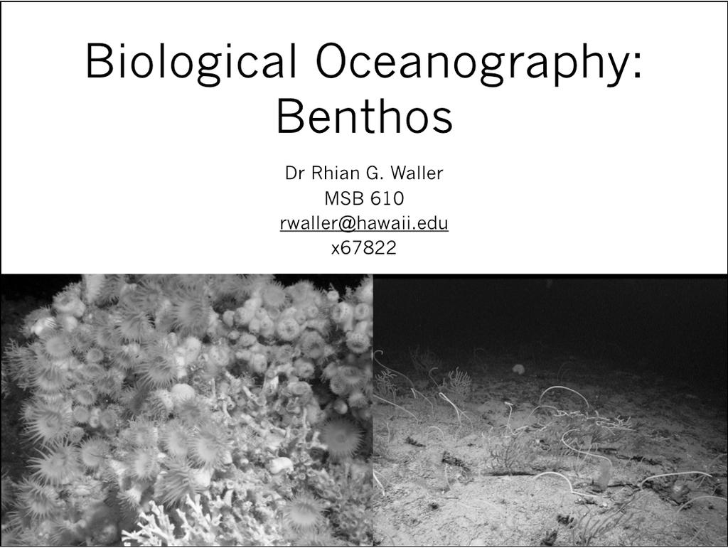 Biological Oceanography: Benthos Dr Rhian G. Waller MSB 610 rwaller@hawaii.