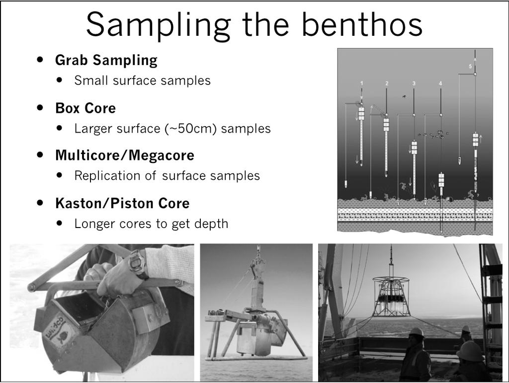 Sampling the benthos Grab Sampling Small surface samples Box Core Larger surface