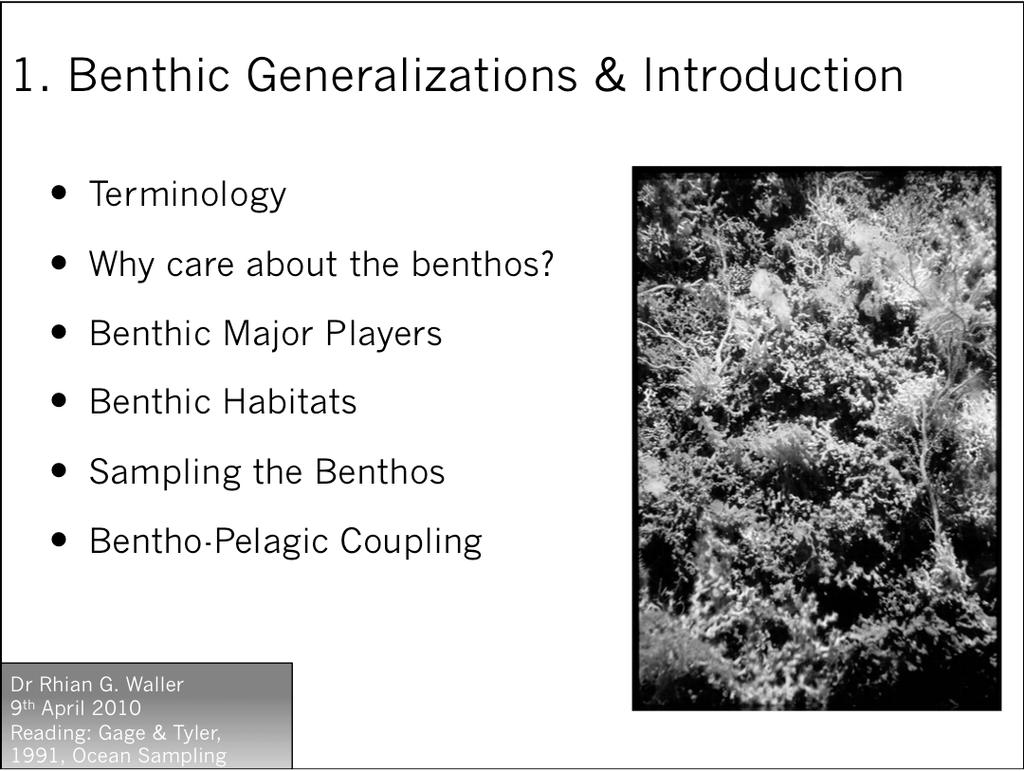1. Benthic Generalizations & Introduction Terminology Why care about the benthos?