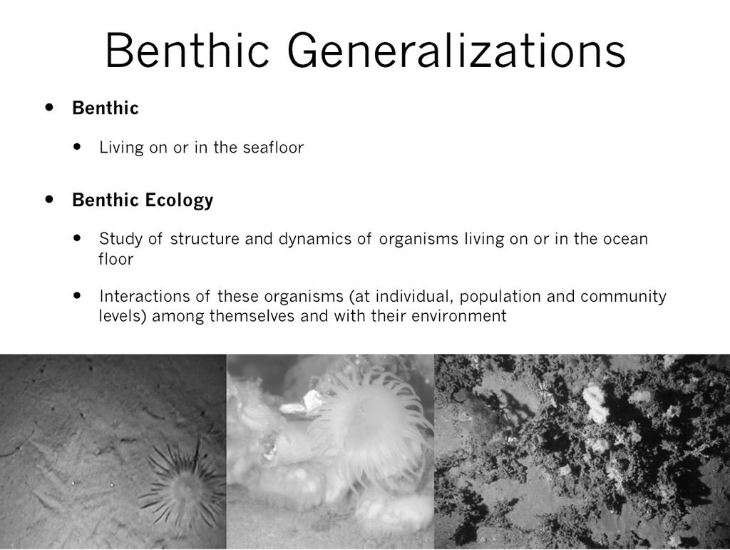 Waller 9 th April 2010 Reading: Gage & Tyler, 1991, Ocean Sampling Benthic Benthic Generalizations Living on or in the seafloor