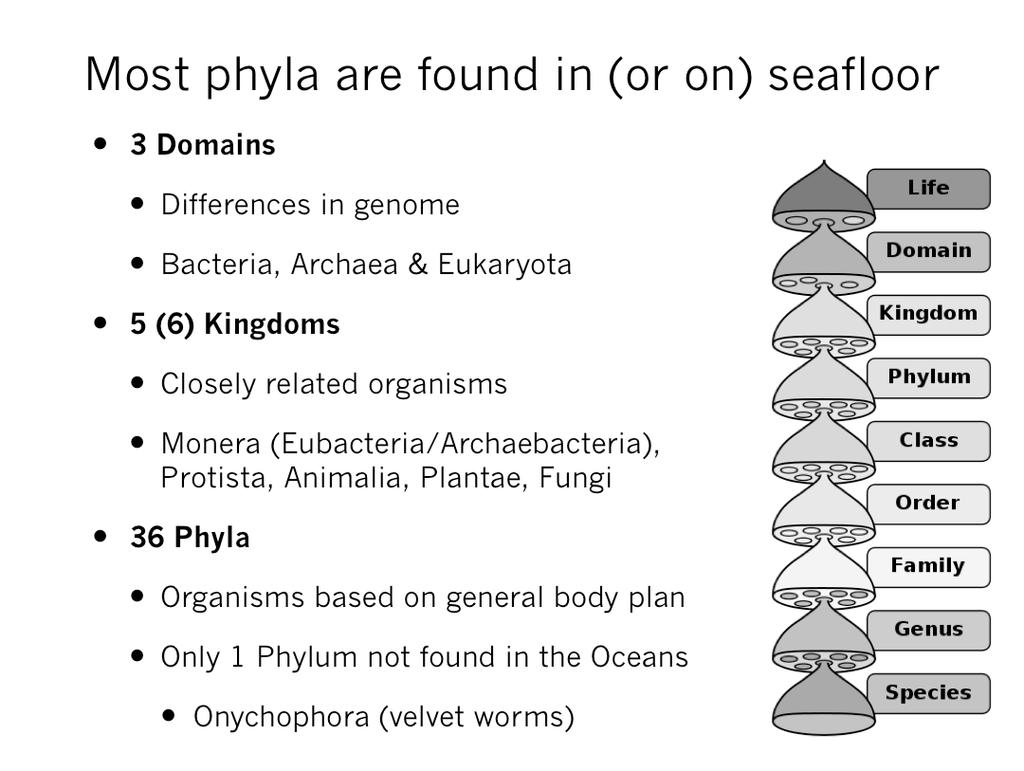 , 2005 Most phyla are found in (or on) seafloor 3 Domains Differences in genome Bacteria, Archaea & Eukaryota 5 (6) Kingdoms Closely related