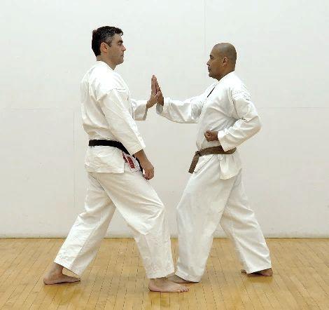 In case of kicking techniques the process is similar. Let s use ushiro geri as an example. In our case we kick with right leg to the back directly from right fighting stance.