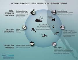 California Current Integrated Ecosystem Assessment Is the ecosystem healthy?