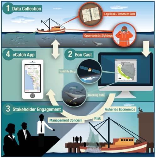 EcoCast Fishing zones predicted based on oceanic features, catch potential, and weighted by bycatch risk. Estimated good fishing zones served via web and mobile devices.