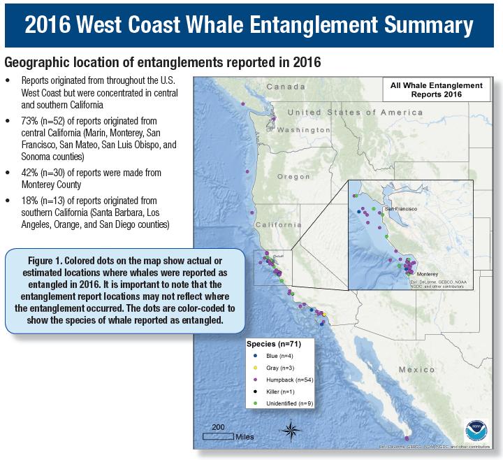 A multi-stakeholder group, including state and NMFS personnel, are working with the CA Dungeness Crab Fishing Gear Working Group to