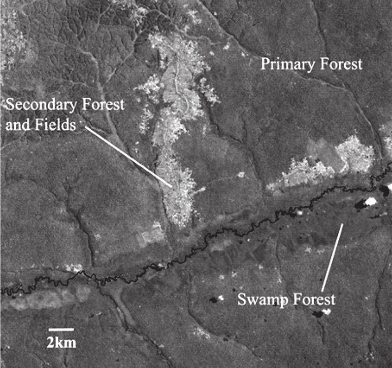 164 D. KIMURA et al. Fig. 3. Satellite image of the study site. Even after the DR Congo was established, it was impossible to prevent confrontations between military powers.