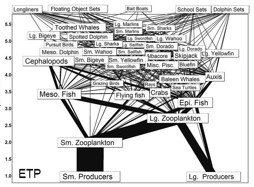 Food web of pelagic ETP Trophic level Nivel trófico Olson, R.J., and G.M. Watters. 2003.