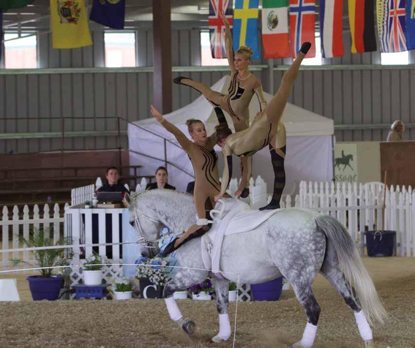 in Cup with ALTITUDE As a 501 (c) 3 nonprofit; the RMC s stated goal is to organize international events, that will aid in furthering the sport of vaulting.