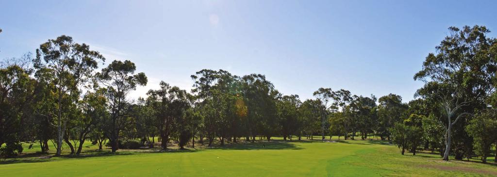 SPONSORSHIP PACKAGES TEE SPONSORSHIP $550 CART SPONSORSHIP $1,100 Tee sponsorship offers your business the chance to put its name to one of Gosnells Golf Club s 18 quality holes.