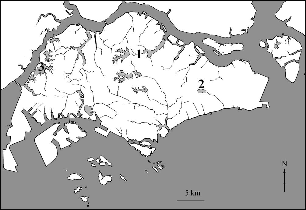 NATURE IN SINGAPORE 2011 Fig. 3. Present distribution of Pseudogobiopsis oligactis in Singapore: 1, stream between Upper and Lower Seletar Reservoirs; 2, Bedok Reservoir; 3, Poyan Reservoir.