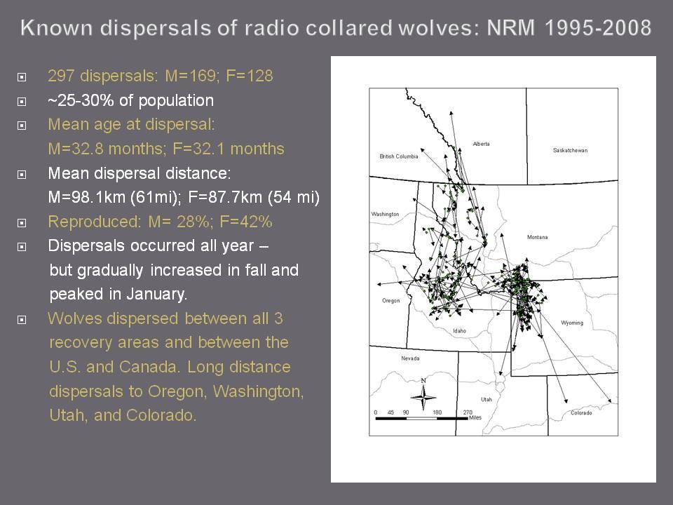 Appendix Figure 6 - Map of radio- collared wolf dispersal - NRM