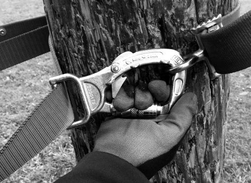 6.8 CLIMBING WARNING: Never place your hand inside the captive eye carabiner.