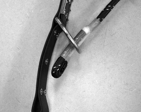 Carabiner from Cynch-Lok Roller Adjuster Step 4: Remove the Distribution or Transmission strap. 7.