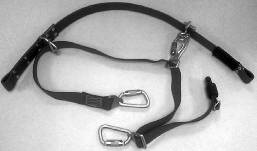 This supplement addresses potential Captive Eye Carabiner Twist-Gate interference issues.