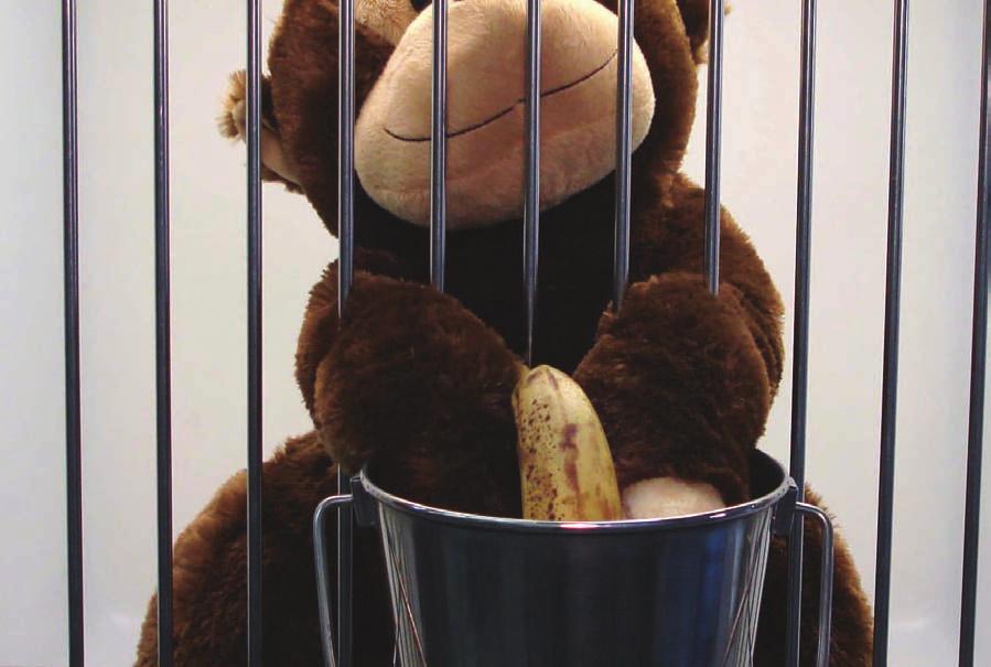 .. Kennel-Gear s Primate Mount is your single solution to keeping feeding bowls/pails securely