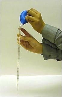Holding the pipette vertically, place the tip into the liquid sample 2-5 mm beneath the meniscus away from the sides or bottom of the tube (container).