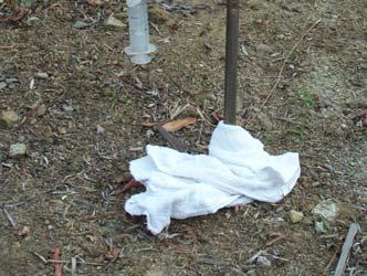 towels emplaced at various points along the probe